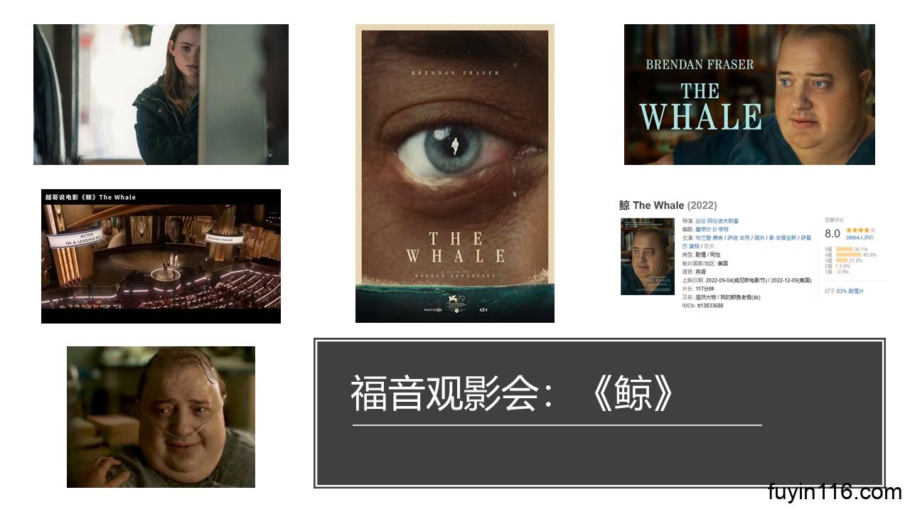 福音观影会】2023年奥斯卡获奖电影《鲸》 - 大能的福音
